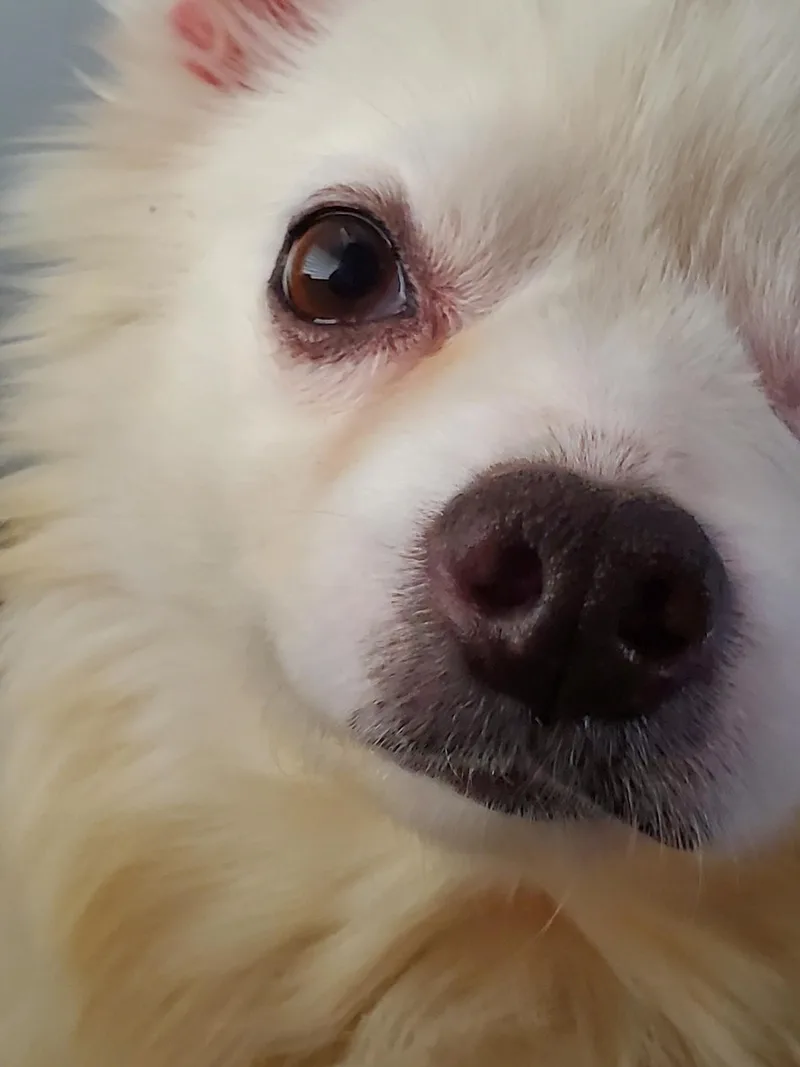 Darla  Special Needs thumbnail 4