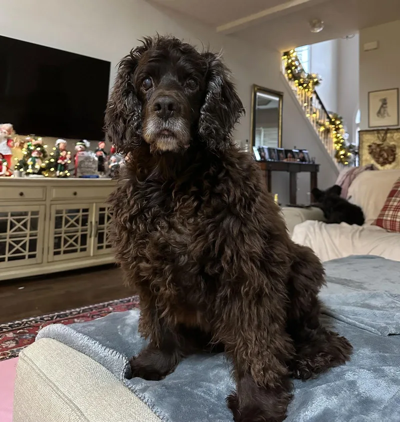 Fabio Darling thumbnail 2