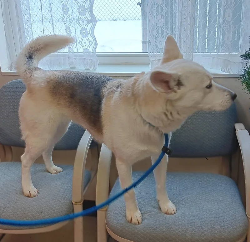 Christine thumbnail 3