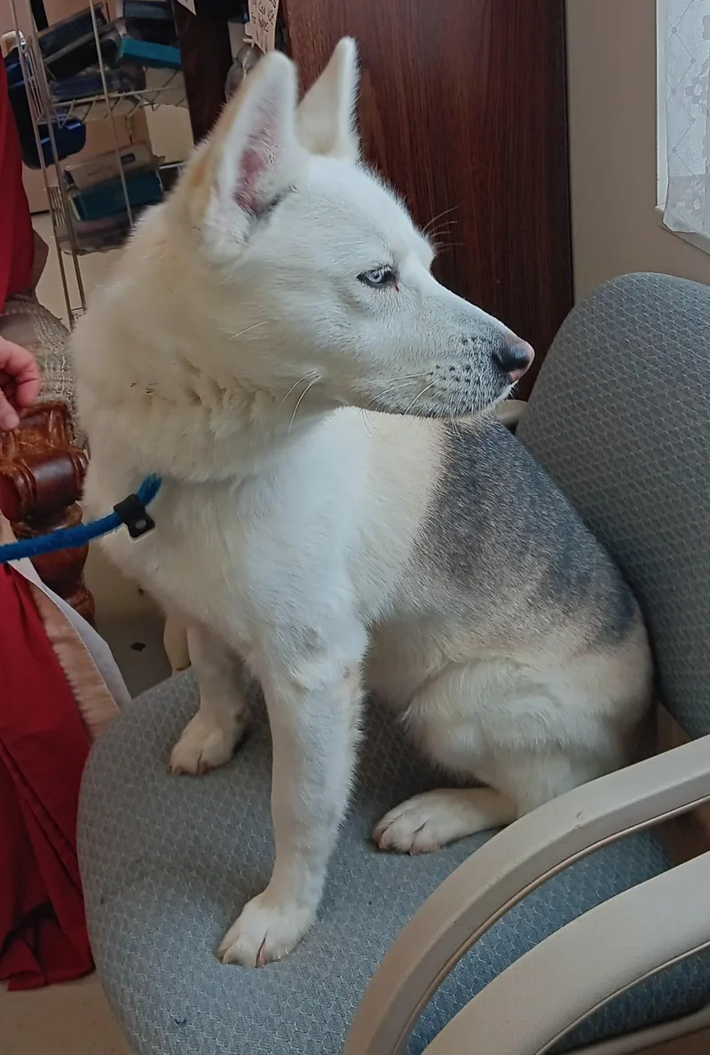 Christine thumbnail 4