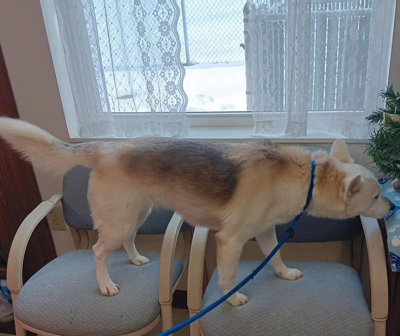 Christine thumbnail 5