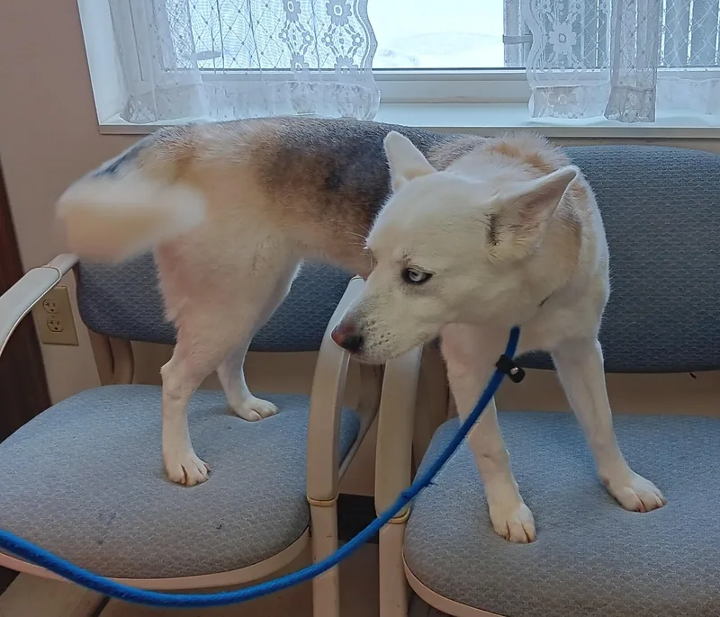 Christine thumbnail 6