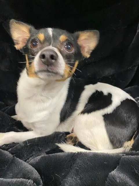 King Arthur thumbnail 2