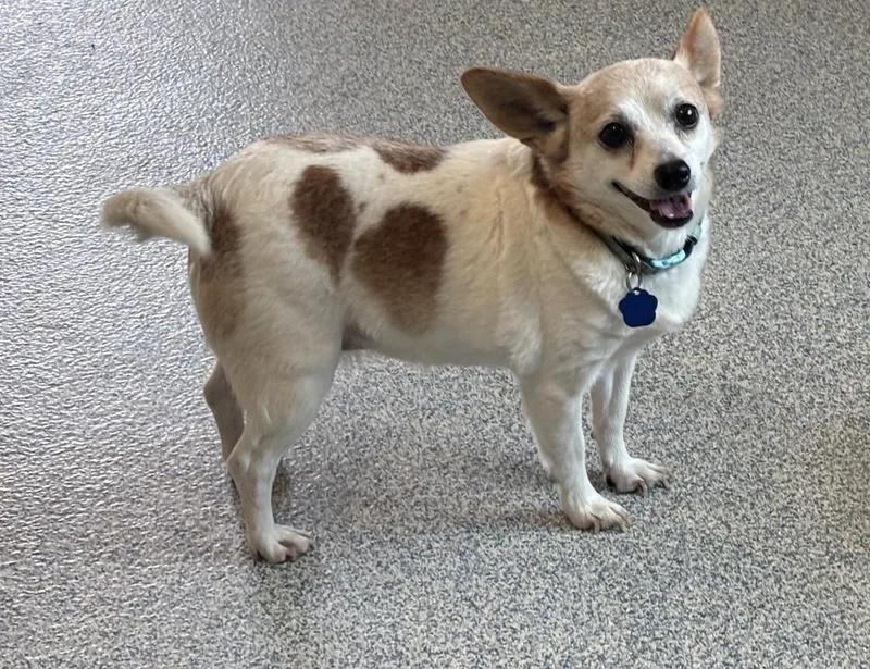 Queenie [lucy] thumbnail 2