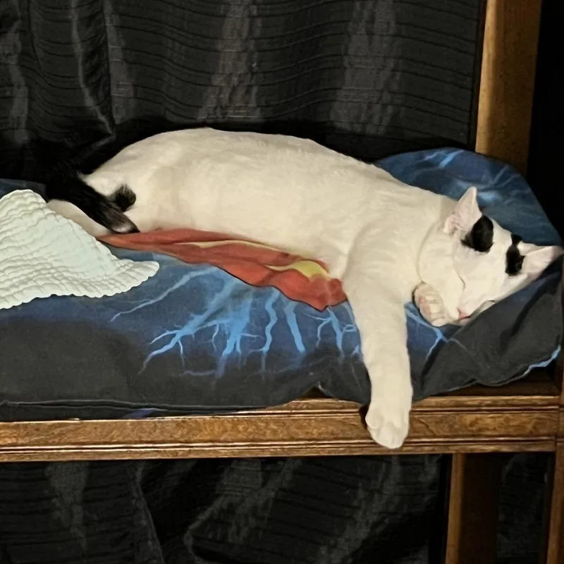 Snoop Dogg thumbnail 5