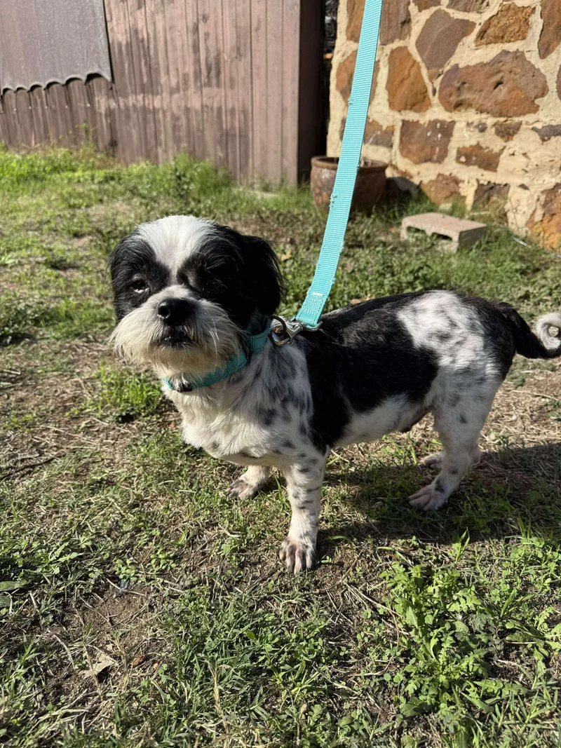 Matty The Qtpie thumbnail 2