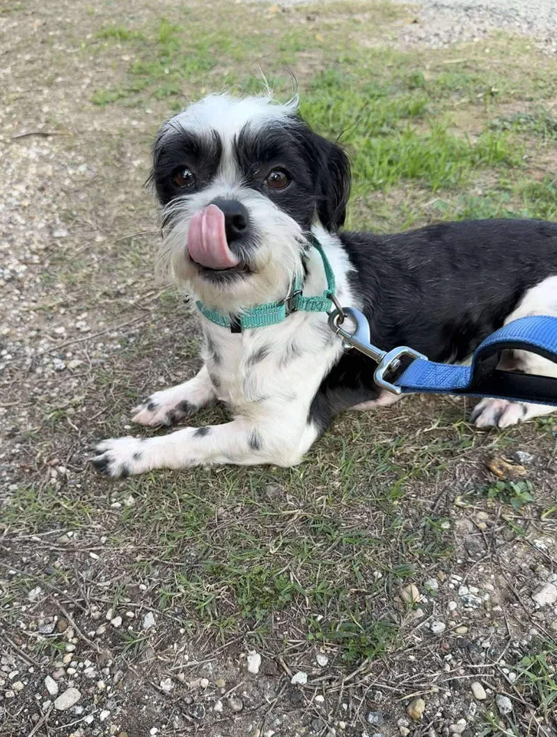 Matty The Qtpie thumbnail 3