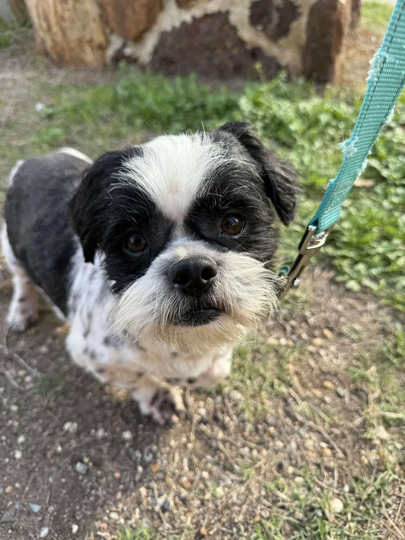 Matty The Qtpie thumbnail 5