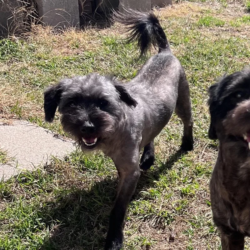 Vince Moretti thumbnail 2