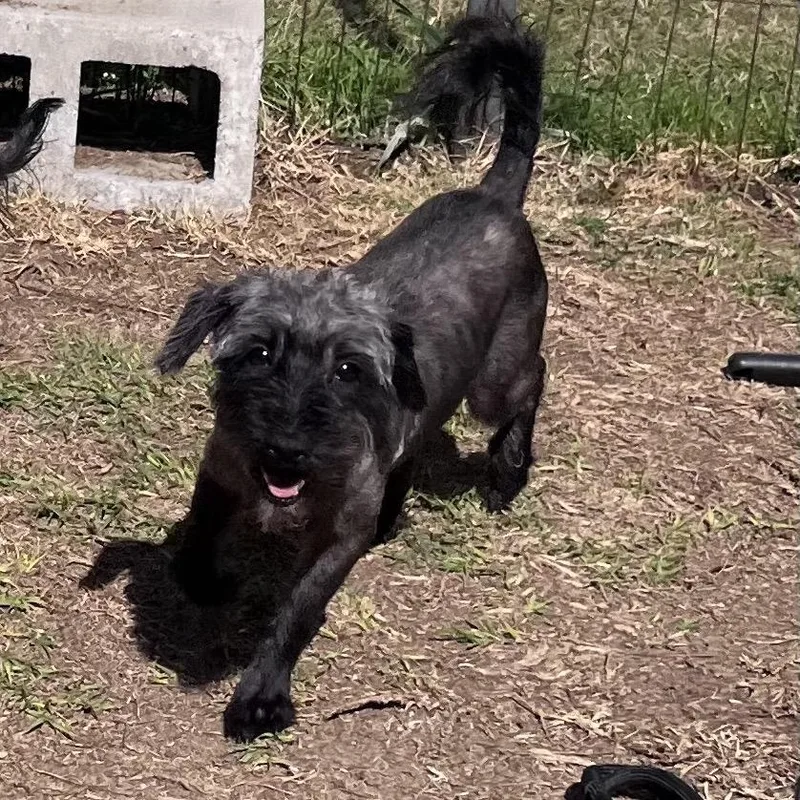 Vince Moretti thumbnail 3