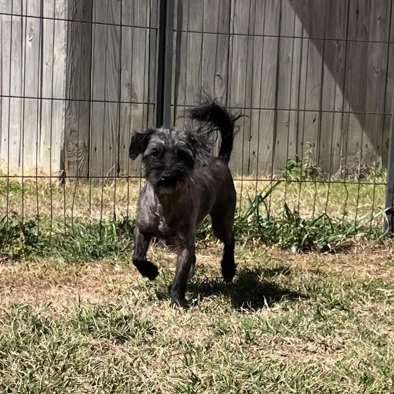 Vince Moretti thumbnail 4