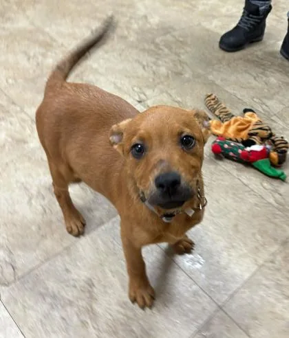 Cap N` Crunch thumbnail 2