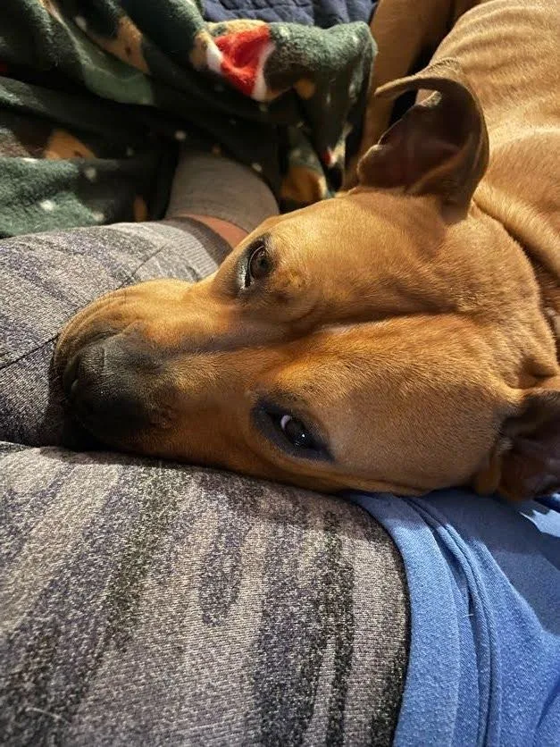 Sweet Georgia thumbnail 3