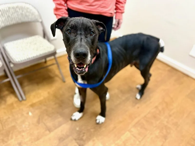 Bruizer Aka Bruize thumbnail 2