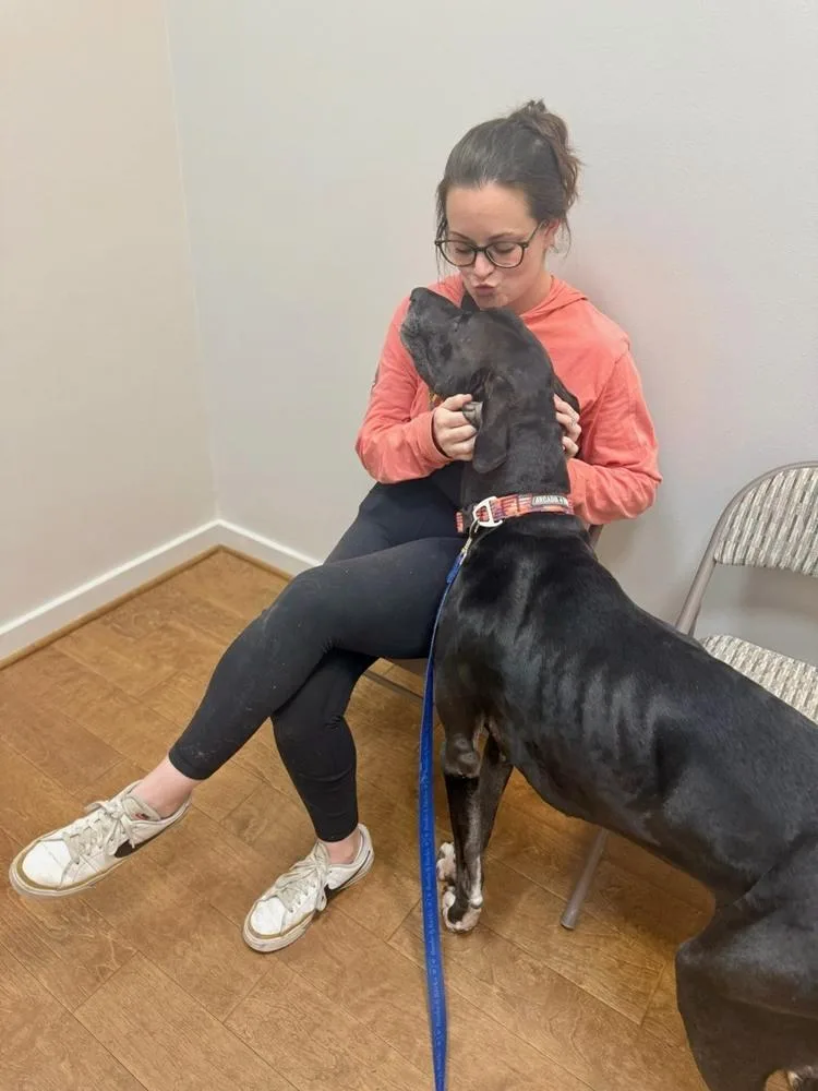 Bruizer Aka Bruize thumbnail 3