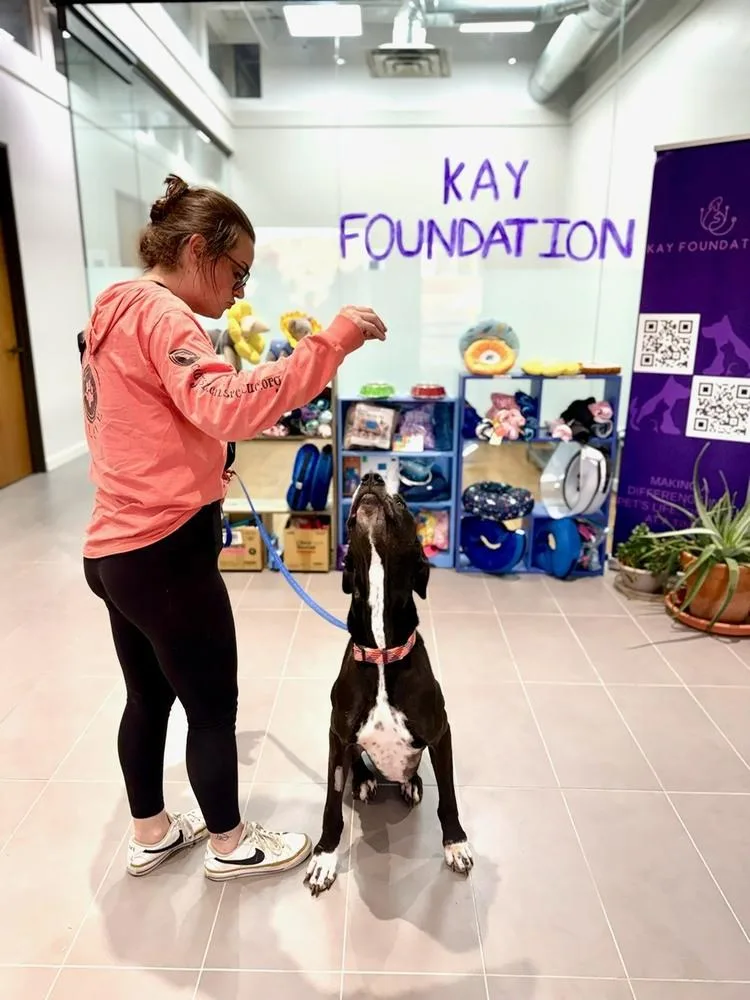 Bruizer Aka Bruize thumbnail 5