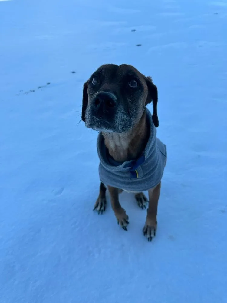 Live "liv" thumbnail 2