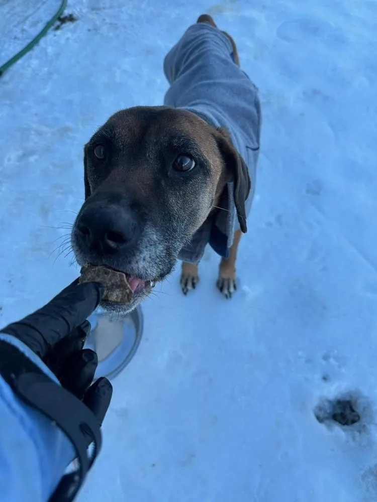 Live "liv" thumbnail 4