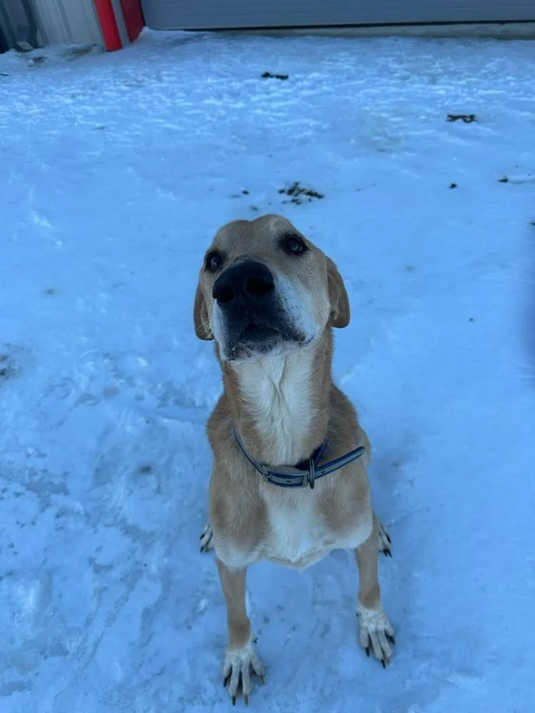 Luke Skywalker thumbnail 2