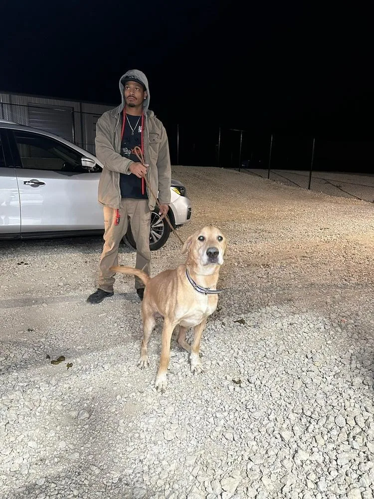 Luke Skywalker thumbnail 3