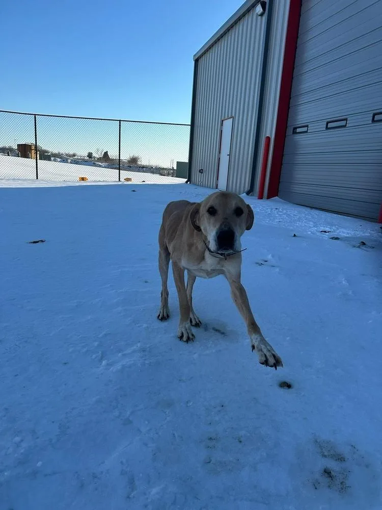 Luke Skywalker thumbnail 5