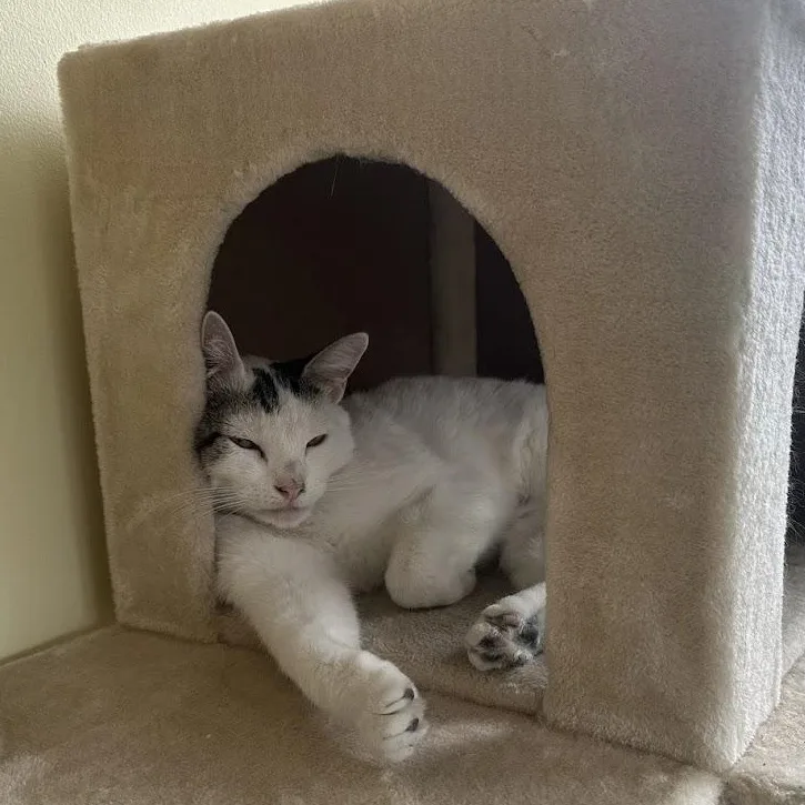 Moo Moo O'brien thumbnail 2