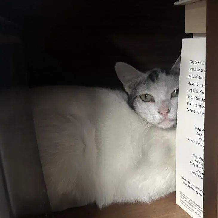 Moo Moo O'brien thumbnail 4