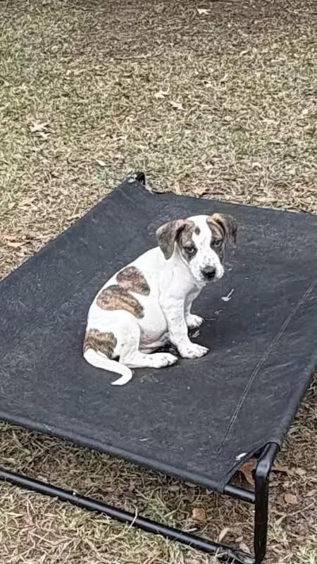 Fruit Loop thumbnail 2