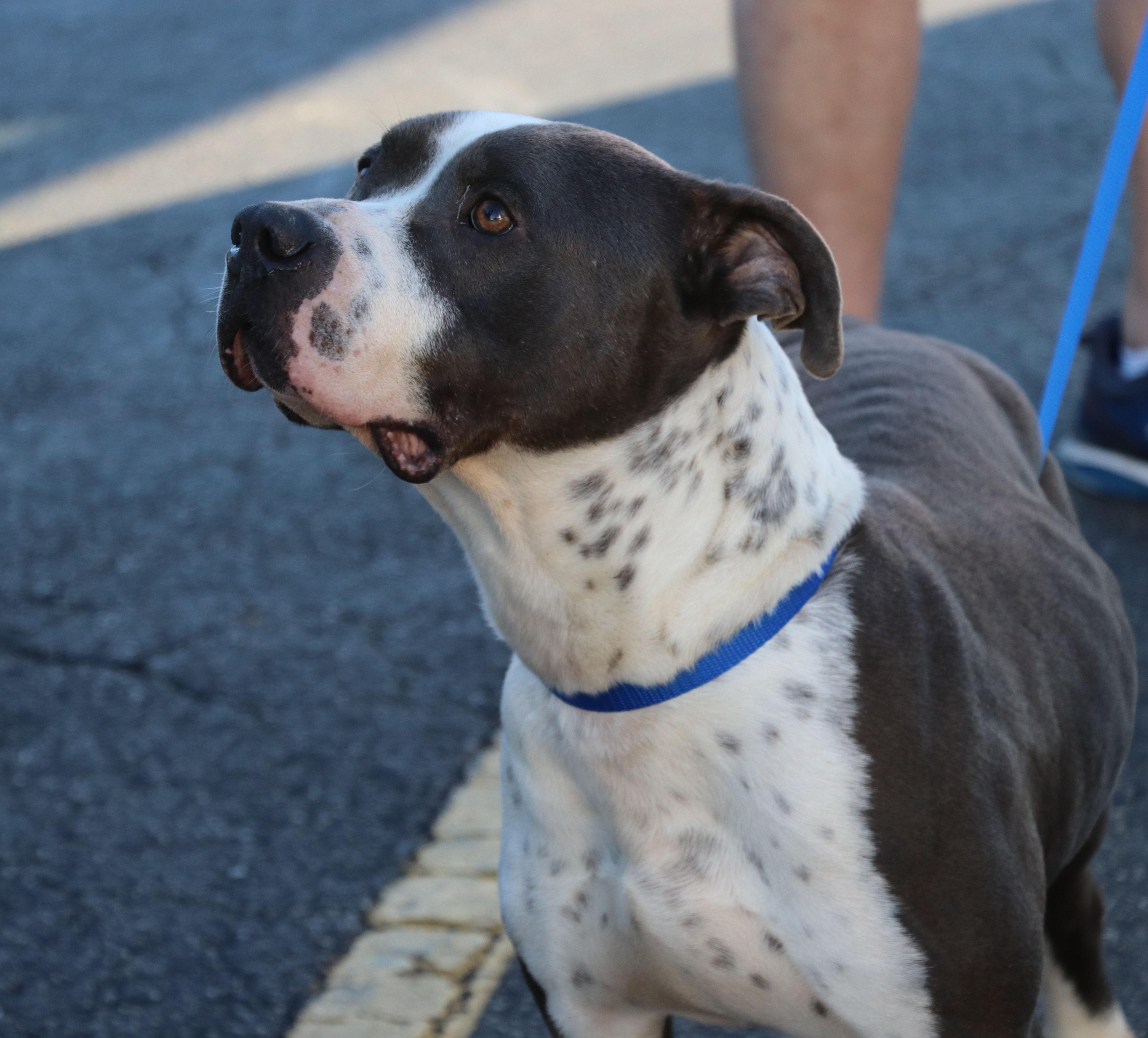 Bucky Buckley thumbnail 5