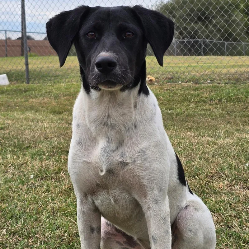 Wynonna Judd thumbnail 2