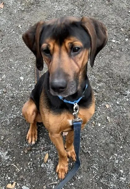 Duke Presley thumbnail 2