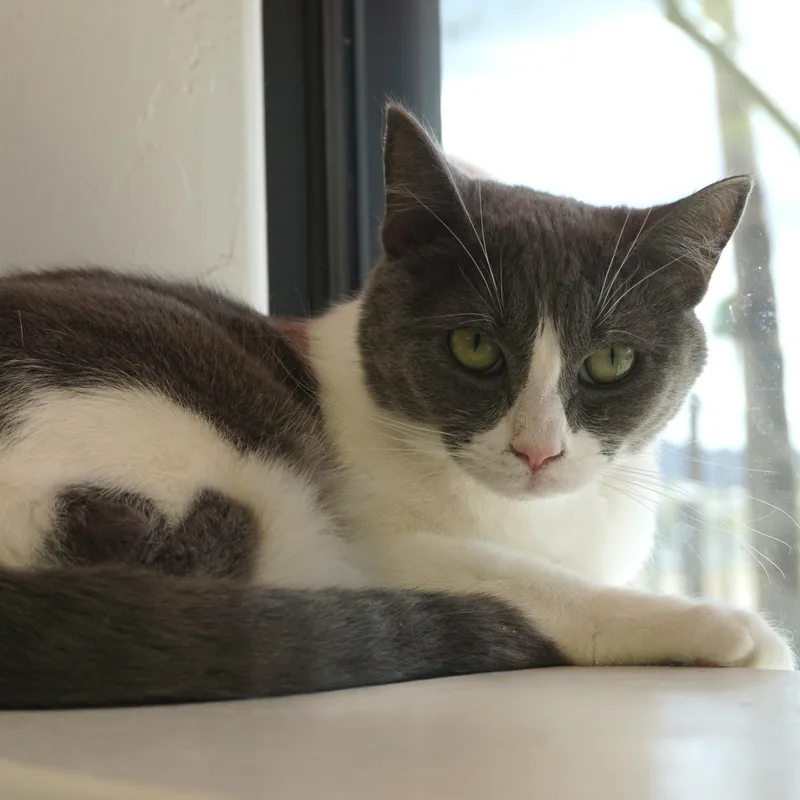 La Audrey thumbnail 2