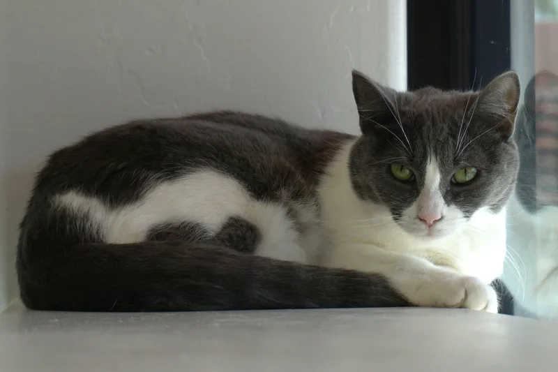 La Audrey thumbnail 3