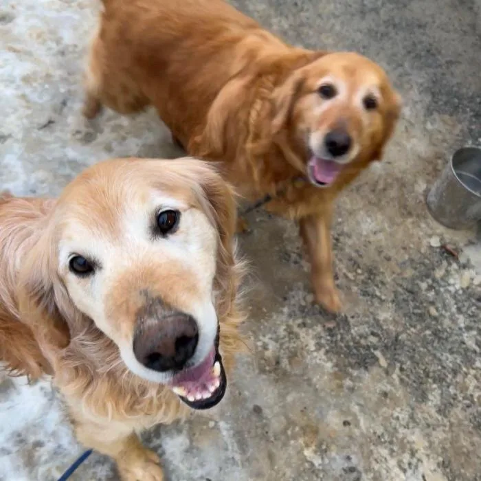 Miss Pretty thumbnail 2