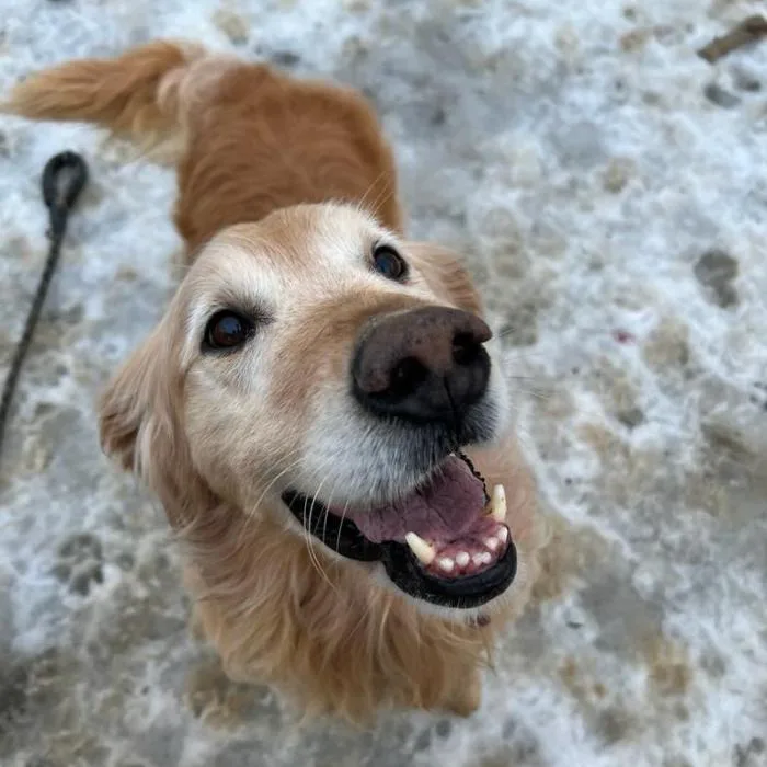 Miss Pretty thumbnail 4