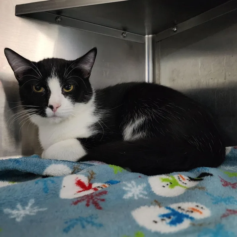 Big Billy thumbnail 2