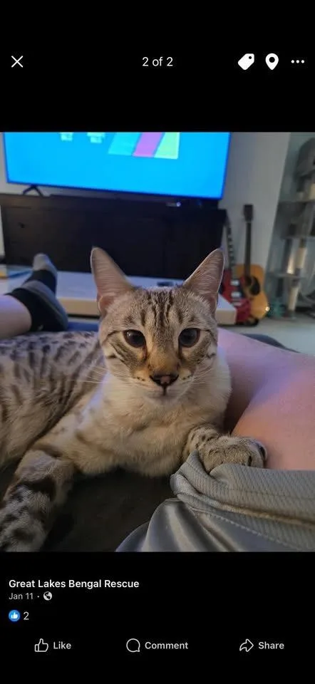 Zeus And Stormy thumbnail 2