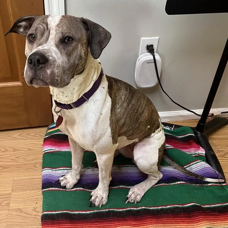 Charlotte thumbnail 2