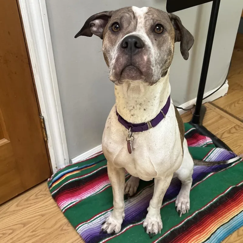 Charlotte thumbnail 3