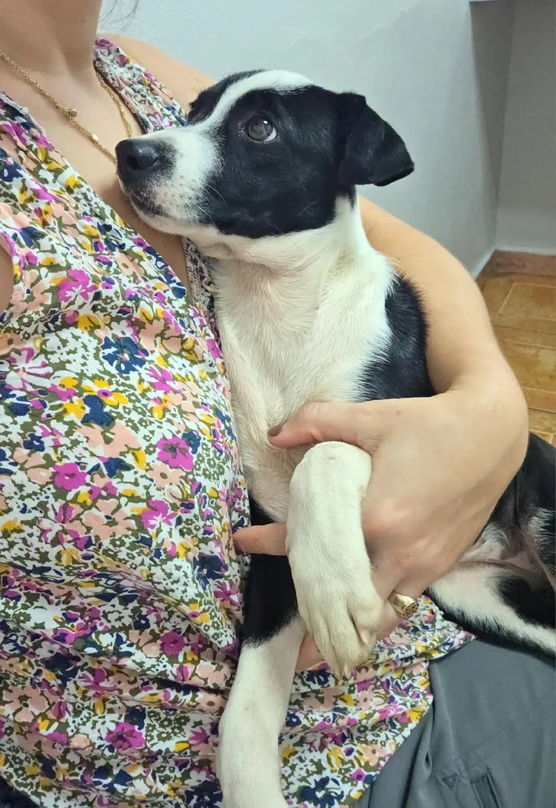 Wilhelmina thumbnail 2