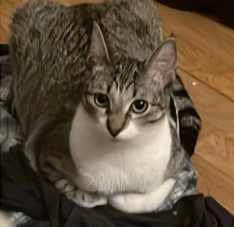 Rye Sisterofmilly thumbnail 3