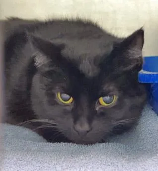 Champagne thumbnail 2