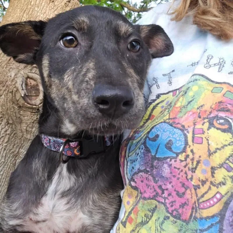 Charlene thumbnail 2