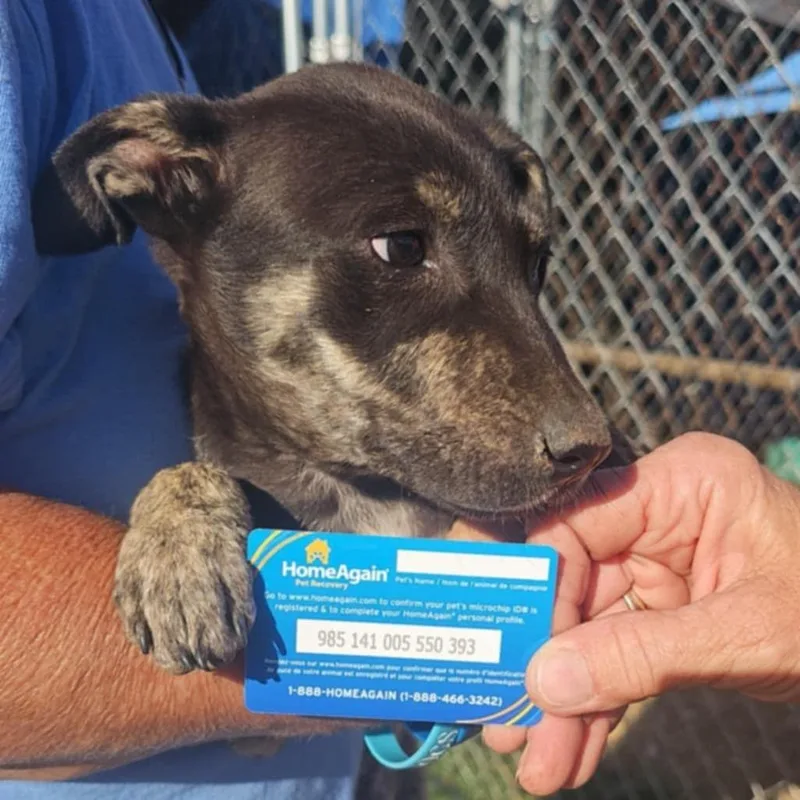 Charlene thumbnail 3