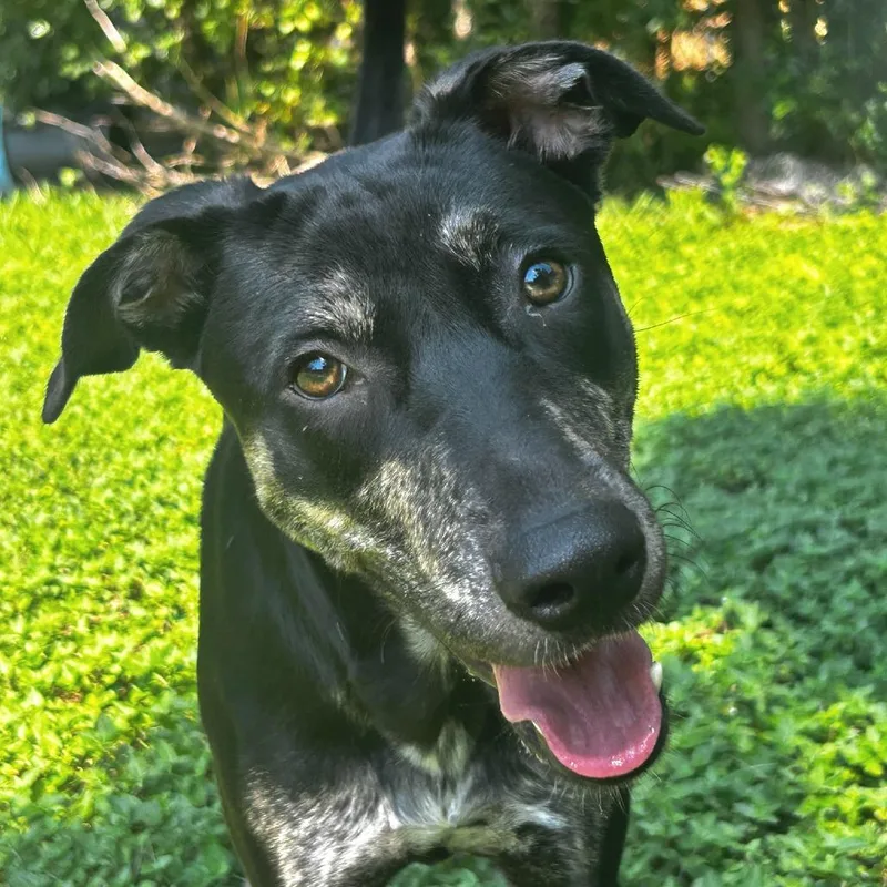 Charlene thumbnail 4