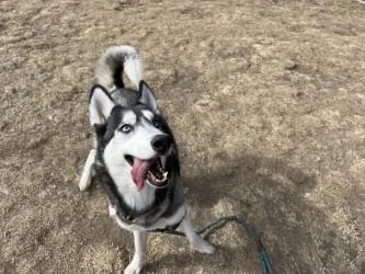 Princess thumbnail 2