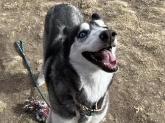 Princess thumbnail 3