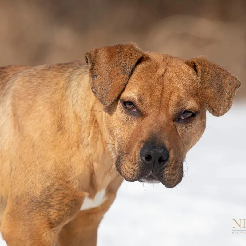 Mary Kate thumbnail 2