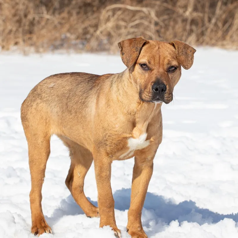 Mary Kate thumbnail 3