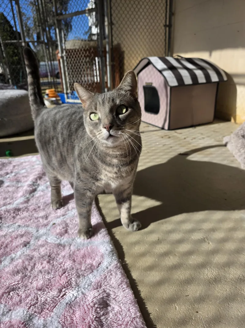 Mykos Sponsored thumbnail 2